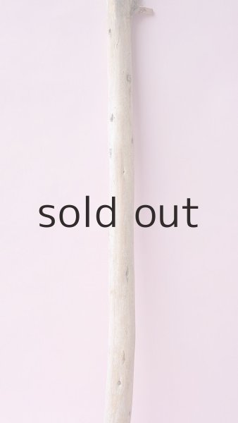 画像3: 棒流木 (3)