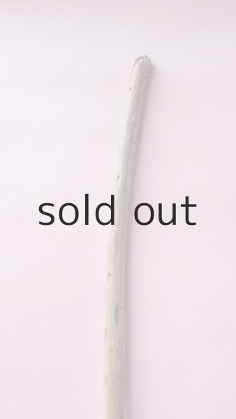 画像4: 棒流木 (4)