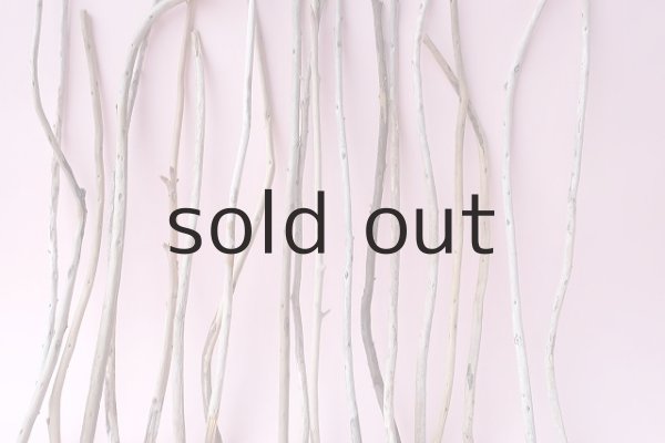 画像6: 棒流木セット (6)