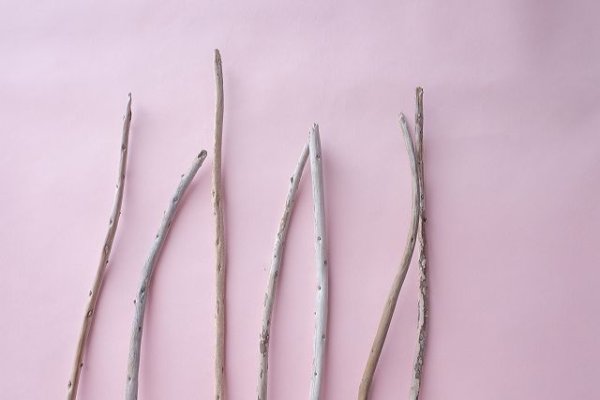 画像4: 棒流木セット (4)