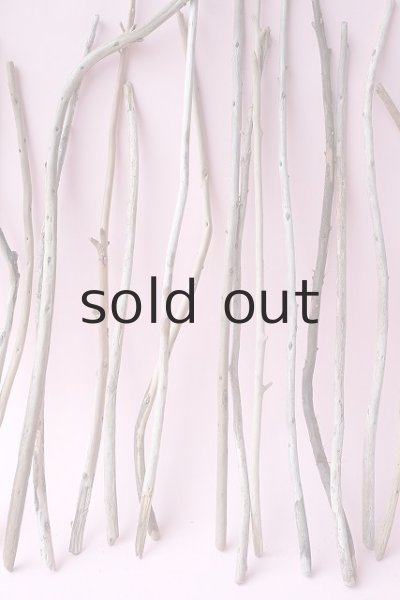 画像3: 棒流木セット (3)