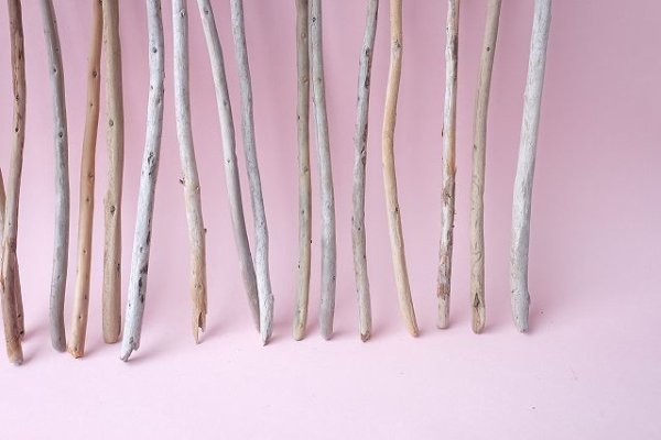 画像7: 棒流木セット (7)