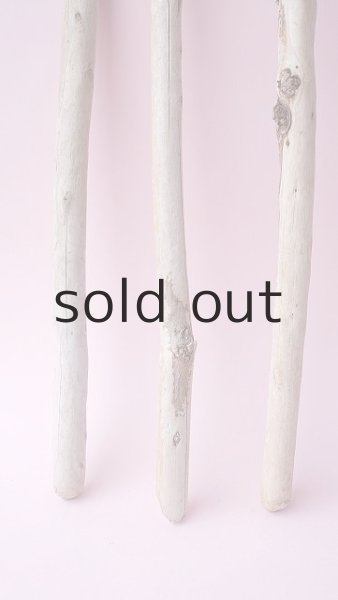 画像2: 棒流木セット (2)