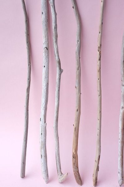 画像5: 棒流木セット (5)