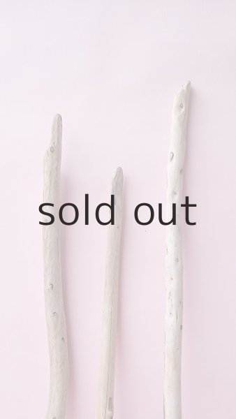 画像4: 棒流木セット (4)