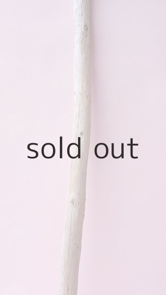 画像3: 棒流木 (3)