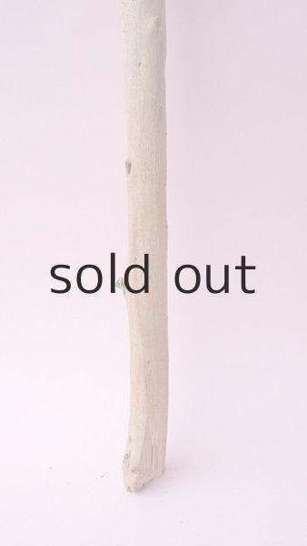 画像2: 棒流木 (2)