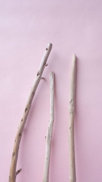 画像4: 棒流木セット (4)