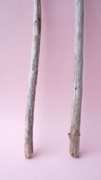 画像2: 棒流木セット (2)