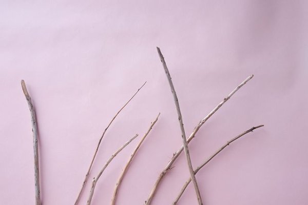 画像4: 棒流木セット (4)