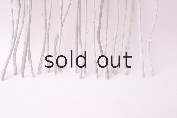 画像5: 棒流木セット (5)