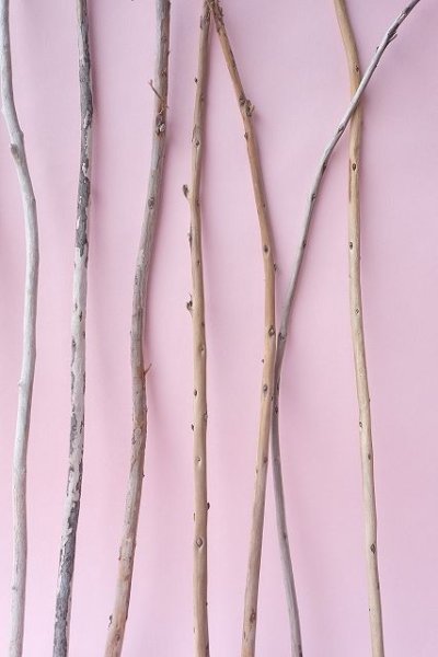 画像6: 棒流木セット (6)