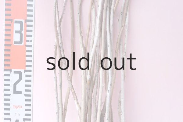 画像9: 棒流木セット (9)