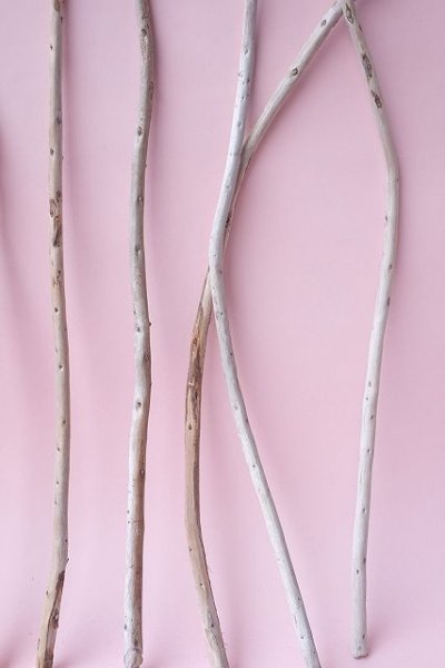 画像6: 棒流木セット (6)