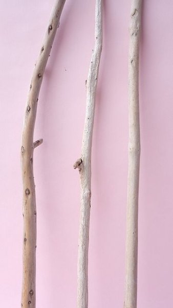 画像3: 棒流木セット (3)