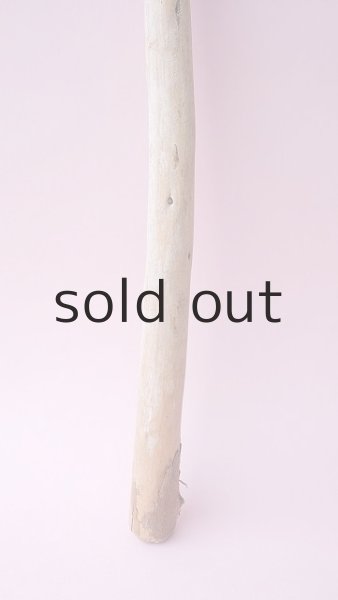 画像2: 棒流木 (2)