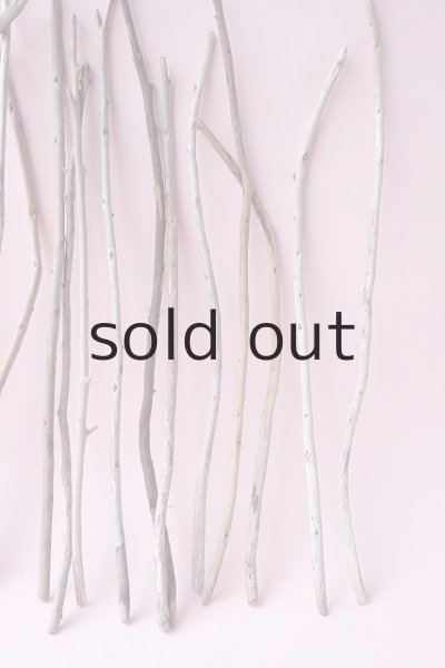 画像4: 棒流木セット (4)