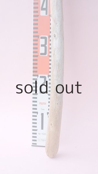 画像5: 棒流木 (5)