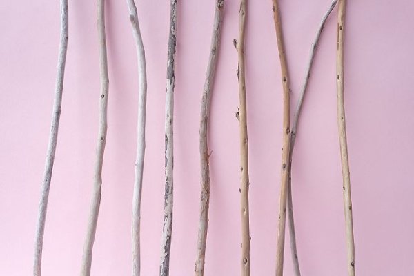 画像3: 棒流木セット (3)