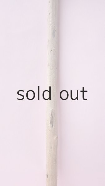 画像3: 棒流木 (3)