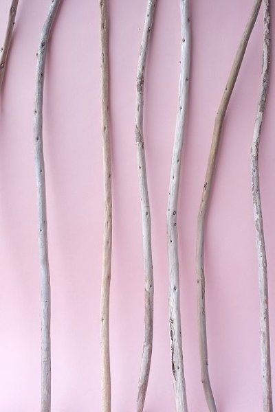 画像6: 棒流木セット (6)