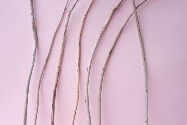 画像3: 棒流木セット (3)