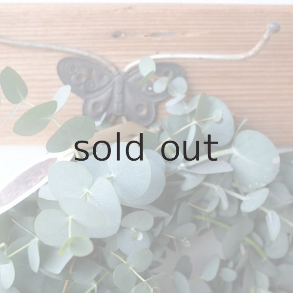 画像2: Dry plants for decor 銀丸葉リース (2)