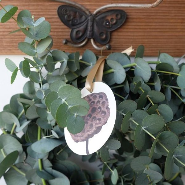 画像2: Dry plants for decor 銀丸葉リース (2)