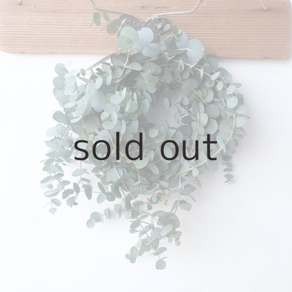 画像1: Dry plants for decor 銀丸葉リース (1)