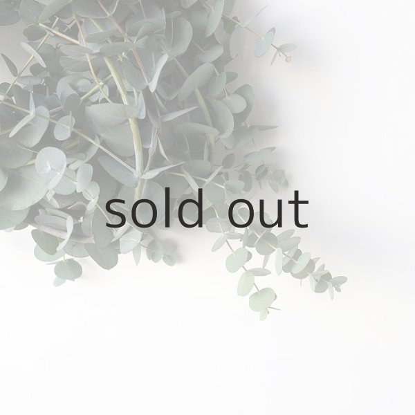 画像6: Dry plants for decor 銀丸葉リース (6)