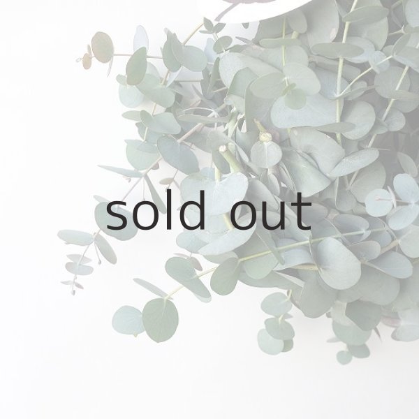 画像3: Dry plants for decor 銀丸葉リース (3)