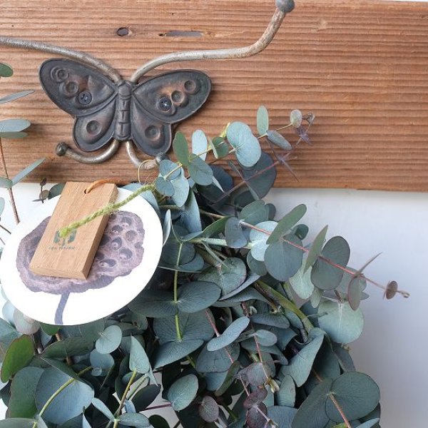 画像2: Dry plants for decor 銀丸葉リース (2)