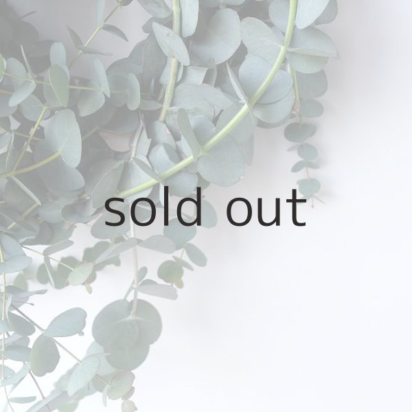 画像6: Dry plants for decor 銀丸葉リース (6)