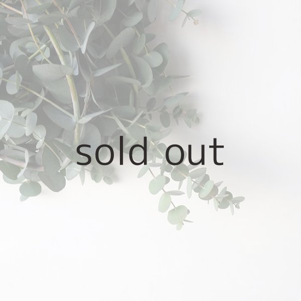 画像5: Dry plants for decor 銀丸葉リース (5)