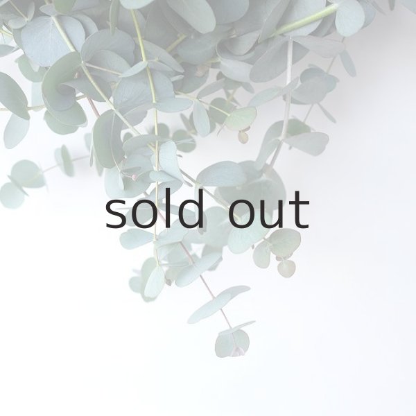 画像5: Dry plants for decor 銀丸葉リース (5)