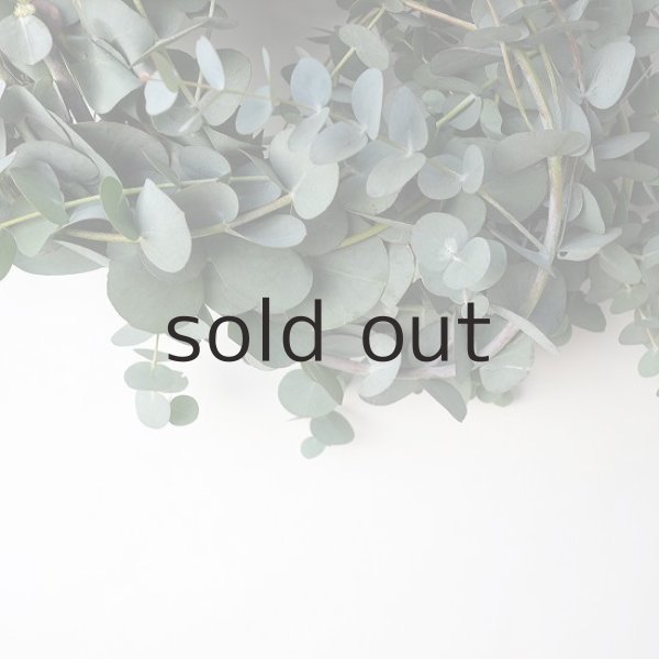 画像4: Dry plants for decor 銀丸葉リース (4)