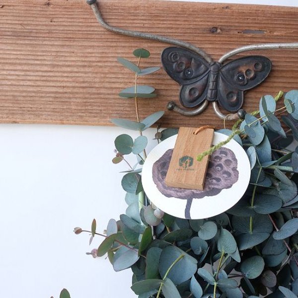 画像3: Dry plants for decor 銀丸葉リース (3)