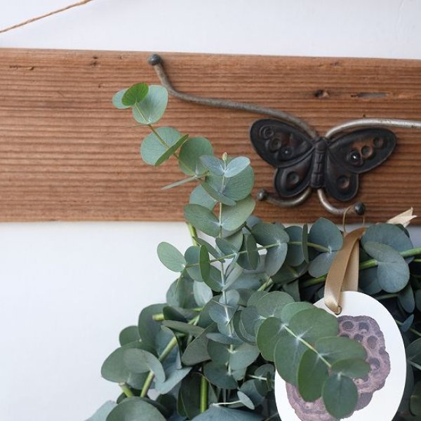 画像3: Dry plants for decor 銀丸葉リース (3)