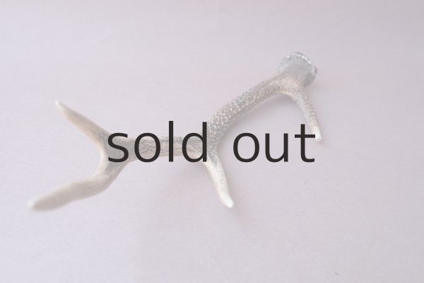 画像7: デコール用二ホンジカの角 (7)