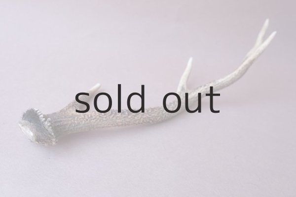 画像8: デコール用二ホンジカの角 (8)