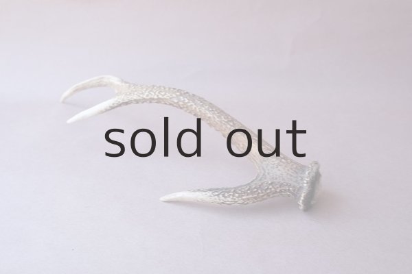 画像6: デコール用二ホンジカの角 (6)