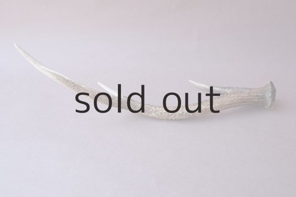 画像4: デコール用二ホンジカの角 (4)