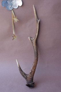 剣山の鹿の角