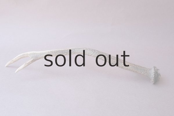 画像5: デコール用二ホンジカの角 (5)