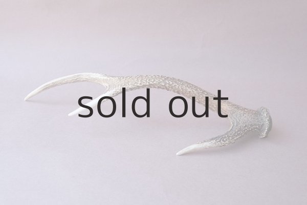 画像5: デコール用二ホンジカの角 (5)