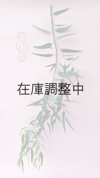 画像1: Dry plants for decor ユーカリ生切り枝（カマルドレンシス）タイプ700〜1000mm (1)