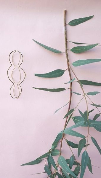 画像2: Dry plants for decor ユーカリ生切り枝（カマルドレンシス）タイプ700〜1000mm (2)