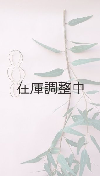 画像2: Dry plants for decor ユーカリ生切り枝（カマルドレンシス）タイプ700〜1000mm (2)