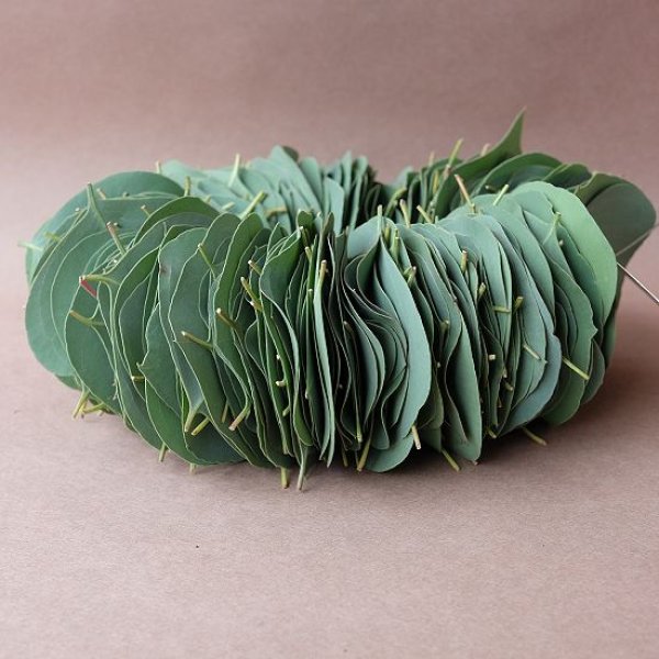 画像5: Dry plants for decor ユーカリリーフリース (5)