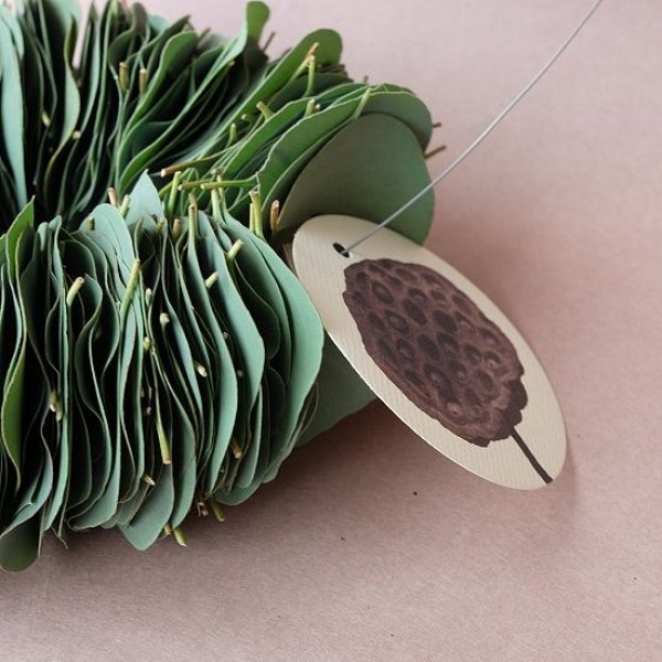 画像3: Dry plants for decor ユーカリリーフリース (3)